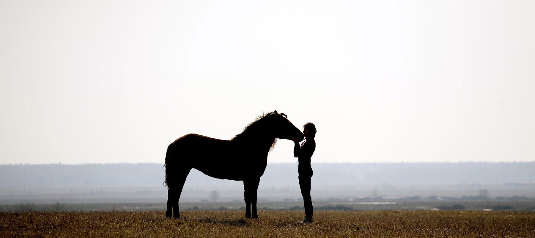 Horse And Rider In Countryside Shutterstock 11585581