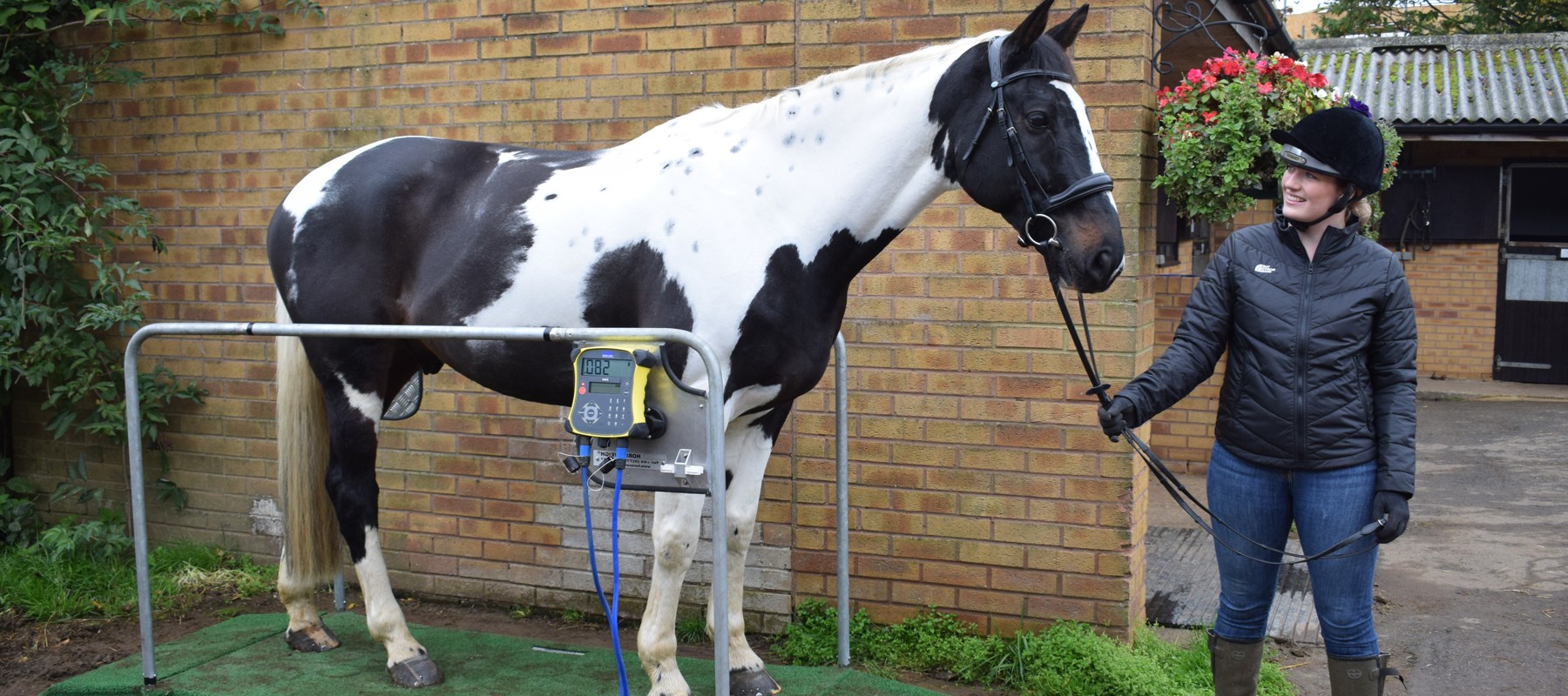 Horse Health Day