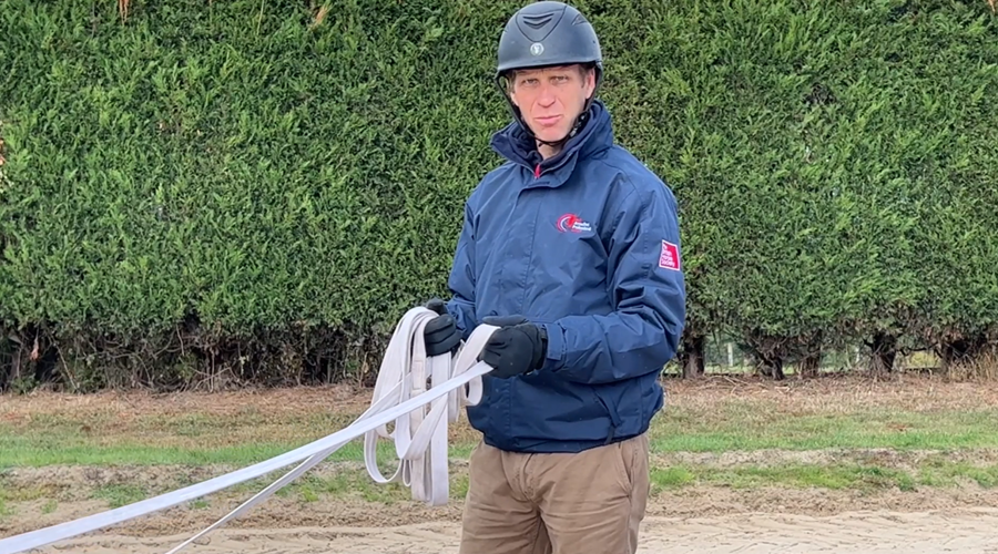 Accredited professional coach holding reins