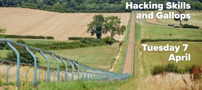 Hacking Skills And Gallops