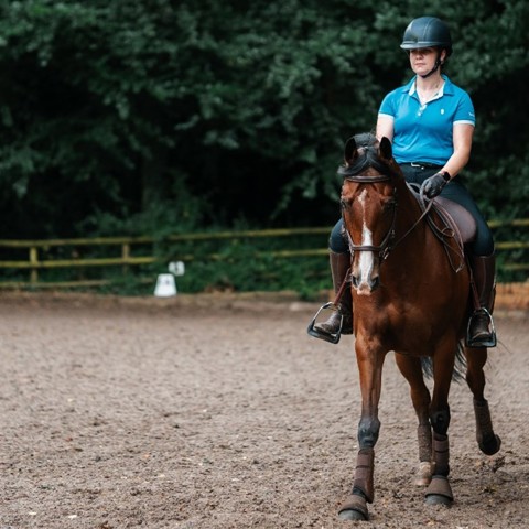 Woman Riding Bay Horse