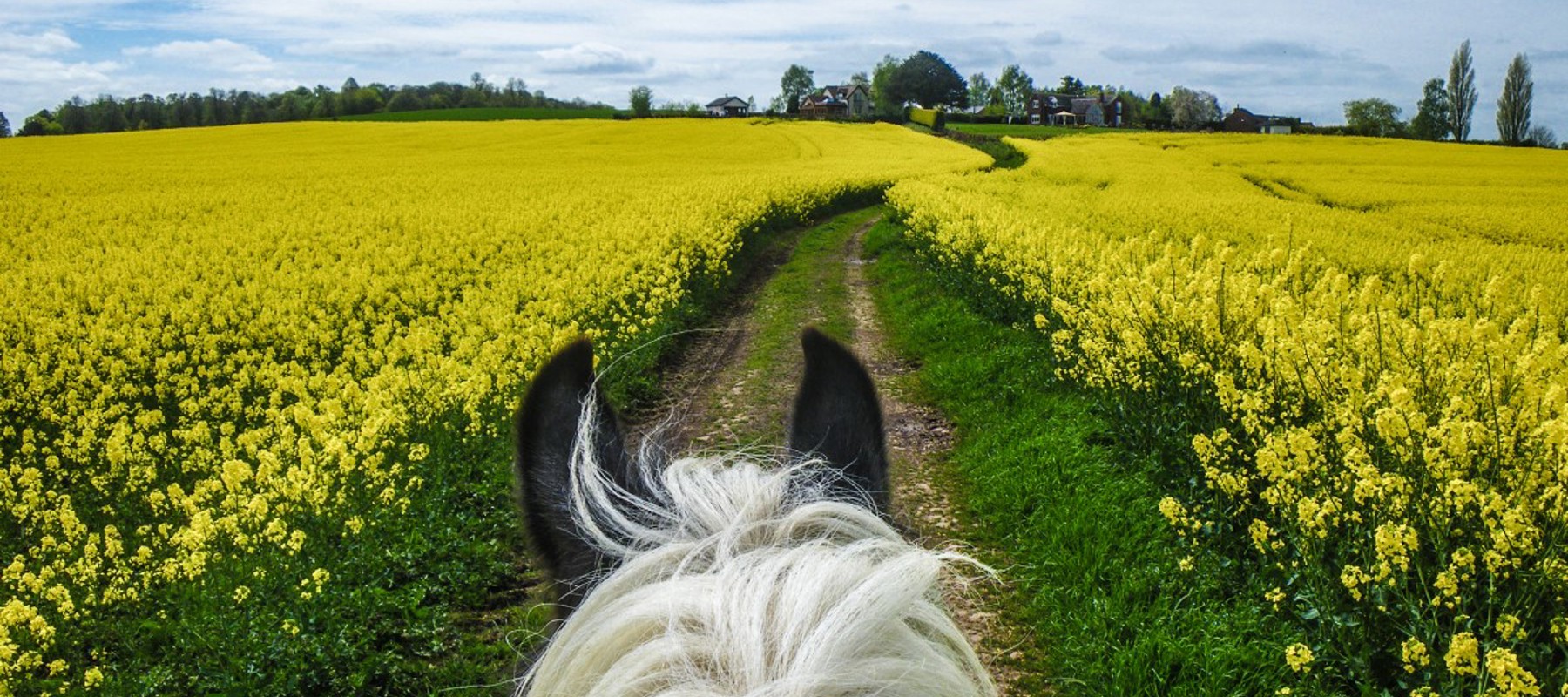 Riding Out Anthony Francis Jones