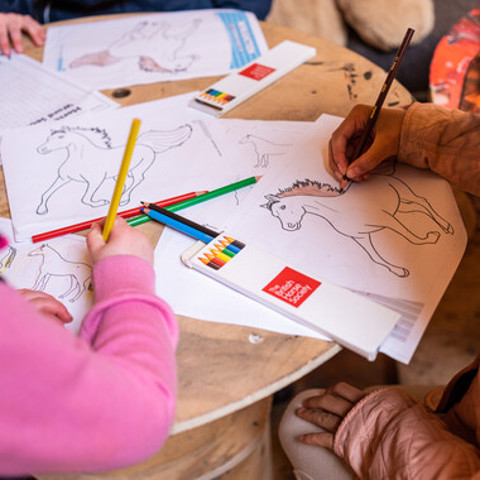 children colouring Pony Stars