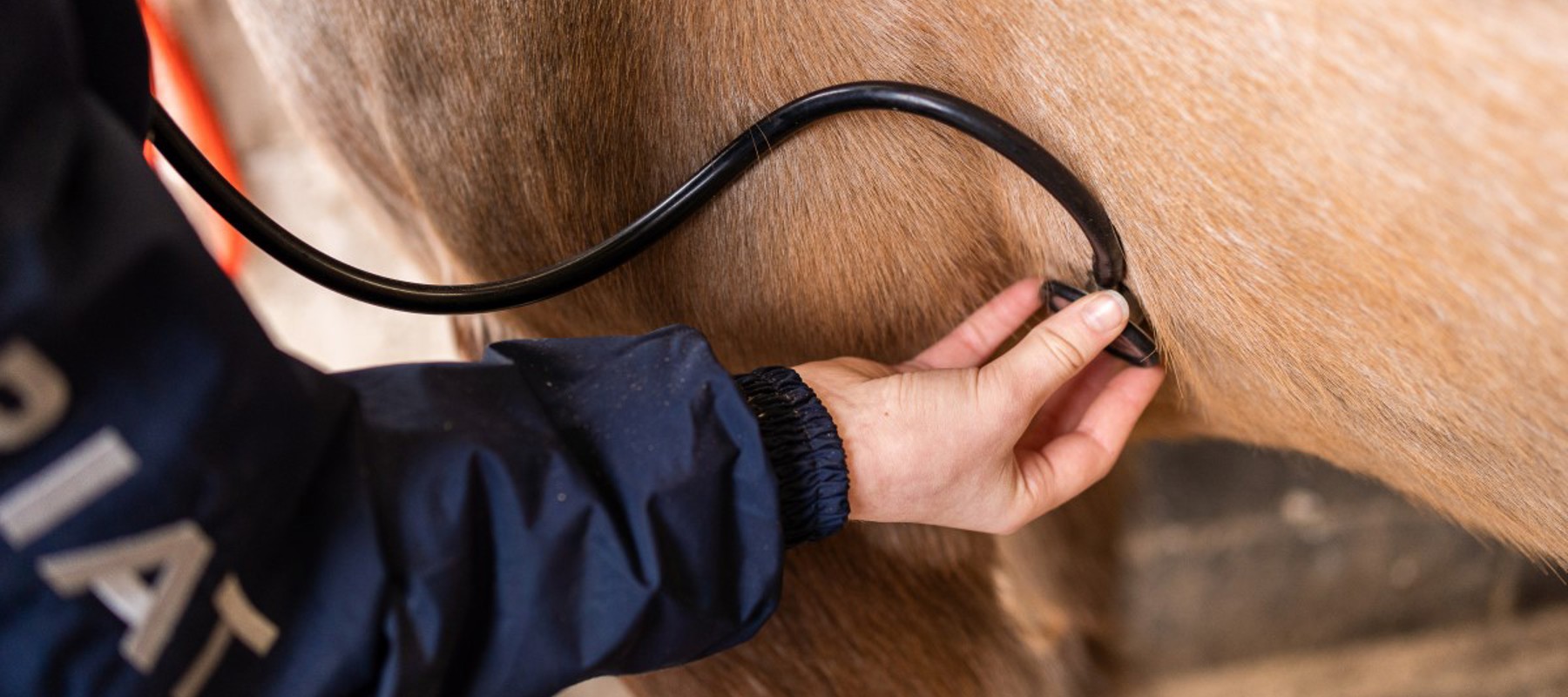 BHS Parbold Equestrian Centre 202 2