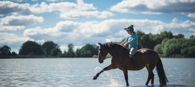 Horse Splashing In Water Stephen Davis Photographer (1)