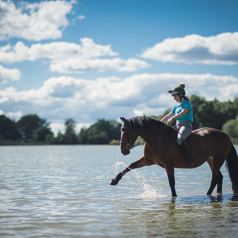 Horse Splashing In Water Stephen Davis Photographer (1)