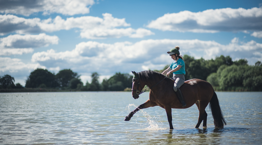 Horse Splashing In Water Stephen Davis Photographer (1)