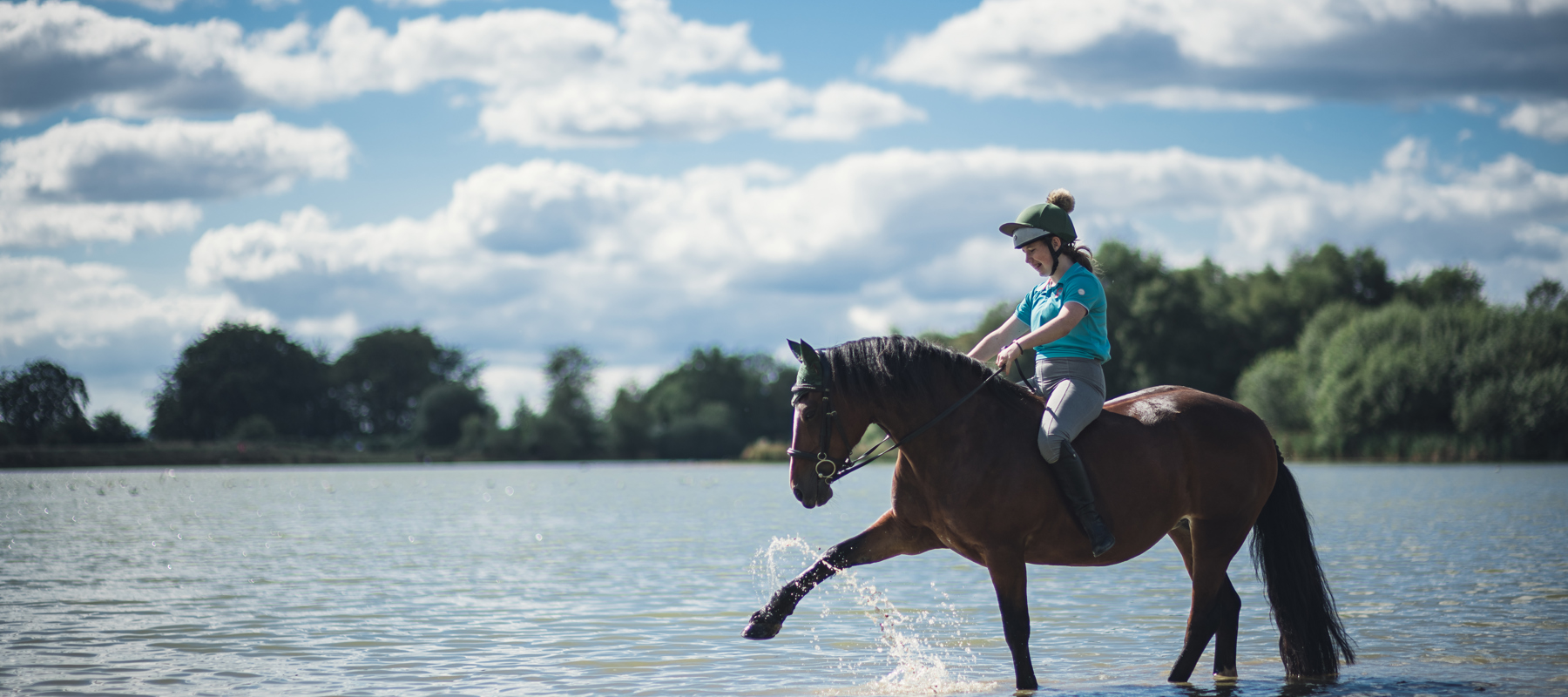 Horse Splashing In Water Stephen Davis Photographer (1)