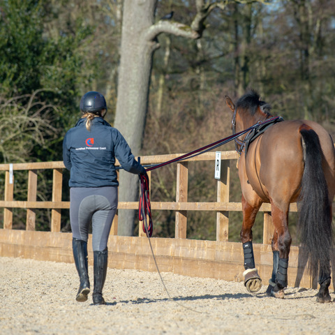 Bhs Wellington Feb19 27285