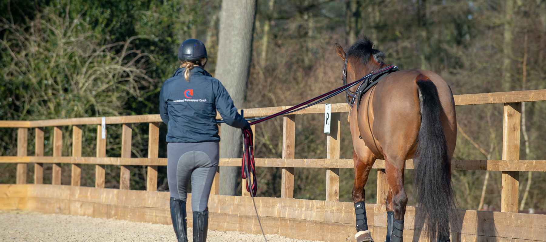 Bhs Wellington Feb19 27285