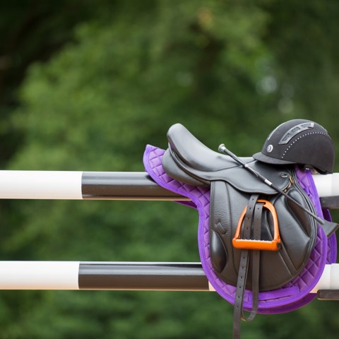 saddle on fence