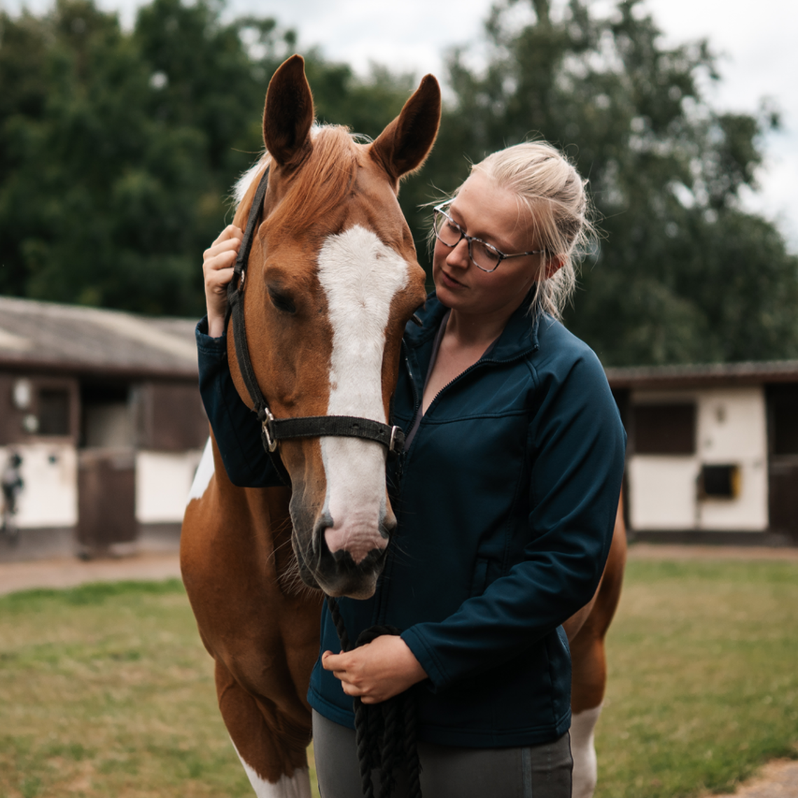 British Horse Society Equestrian Charity Membership The British british-horse-society-equestrian-charity-membership-the-british
