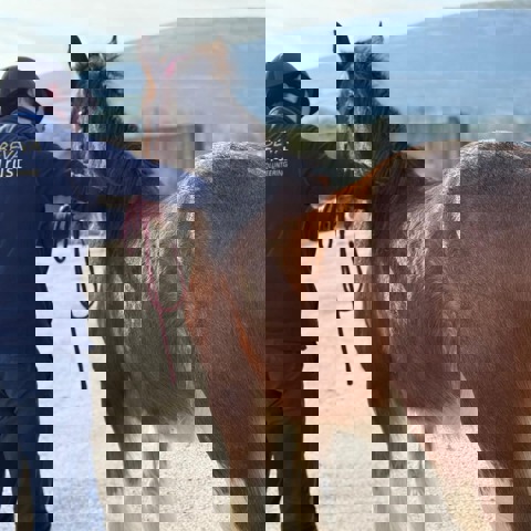 9223Fd16 6Ebd 43E3 89Fb 670Efc1a9d1b