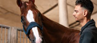 Pyaouj89ukujnn6ler8x2 Copy