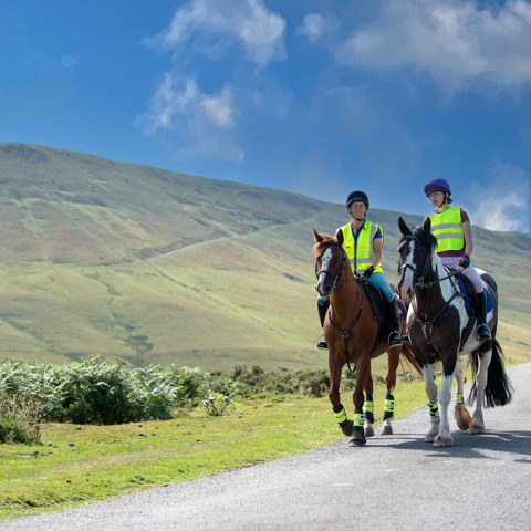Riders on horses hi-vis