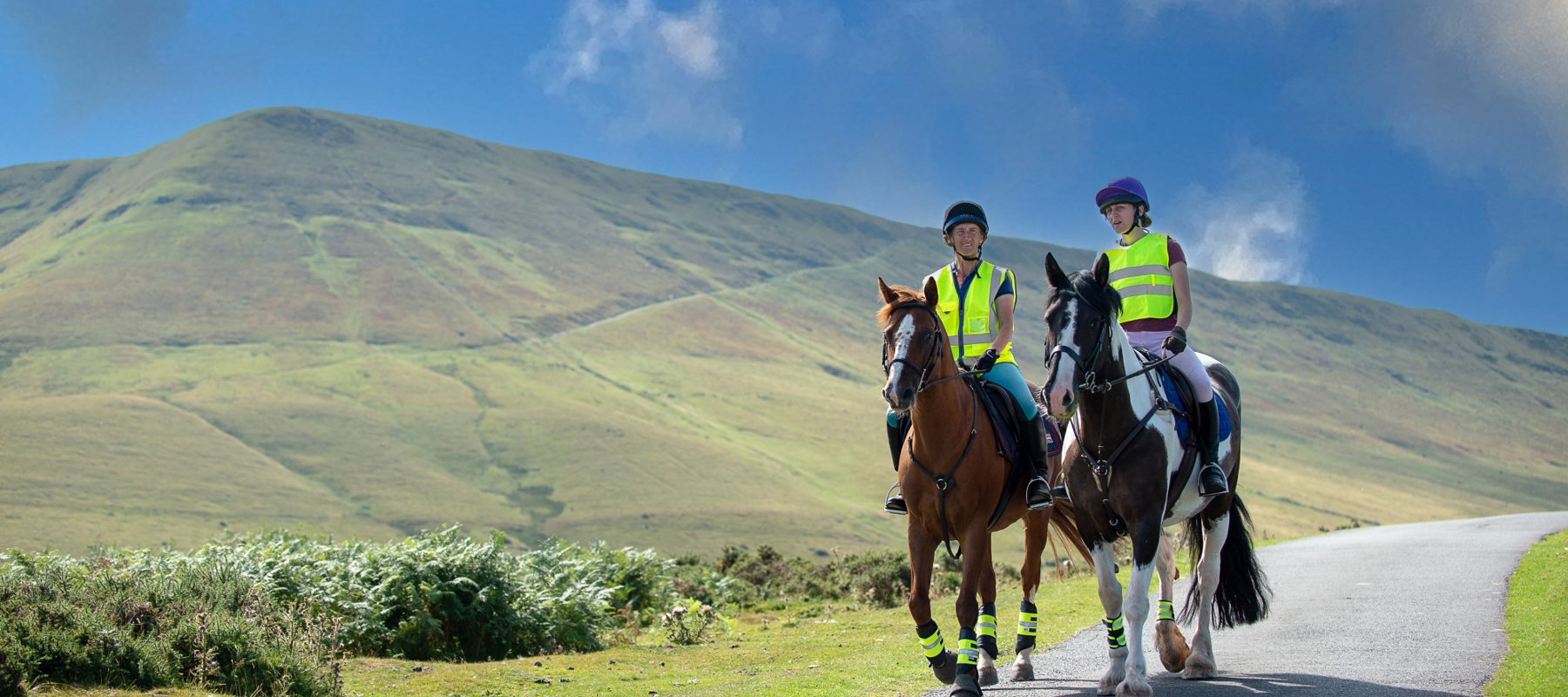Riders on horses hi-vis