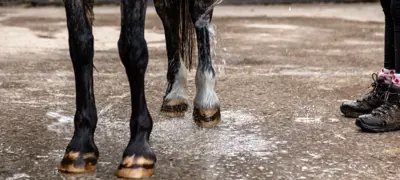 Hosing Leg