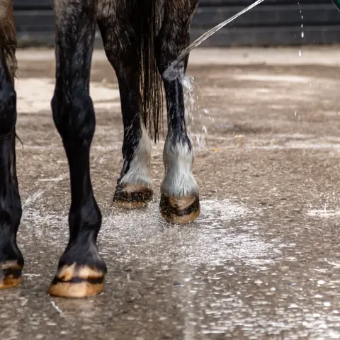 Hosing Leg