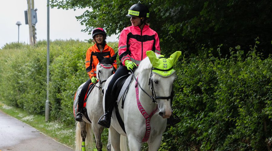 Horses And Riders In Hi Vis Hacking On The Road (1)