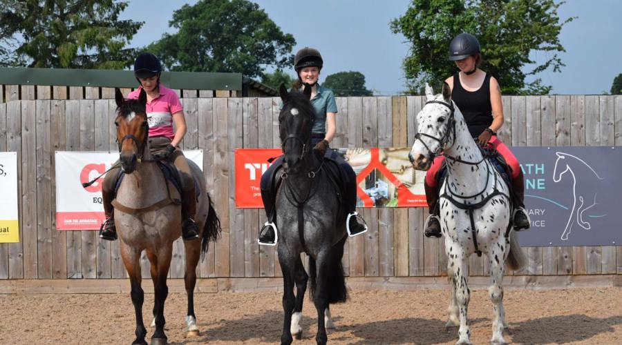 352207151 788800479434101 3814265925124639657 N