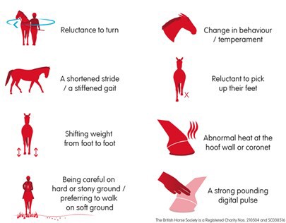 Common subtle signs of laminitis