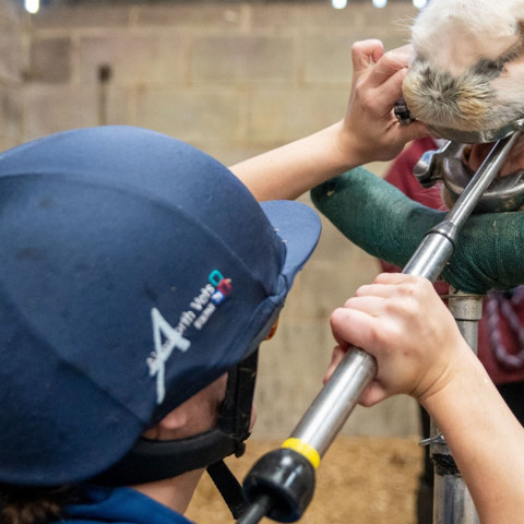 Vpuauehruebba5fkayos