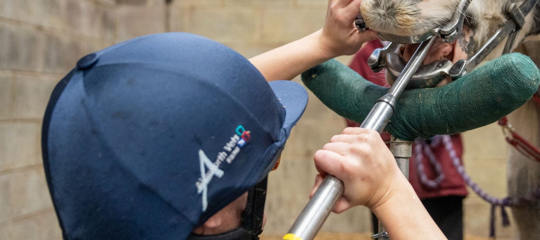 Vpuauehruebba5fkayos