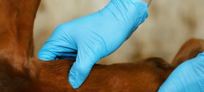 Ane4lgnaoga3ojzrcy2g