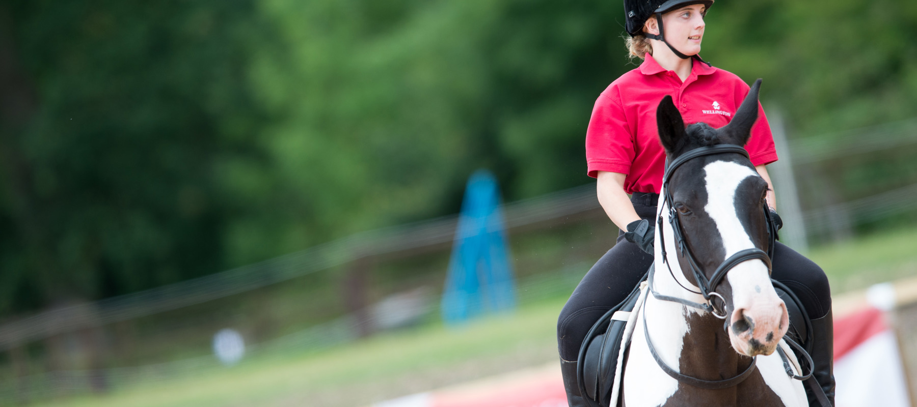 Complete Horsemanship 1