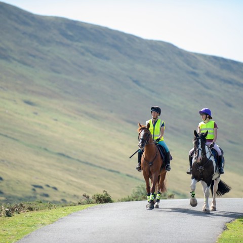 Two horses and riders on narrow road with upland hillside behind in gentle sunshine
