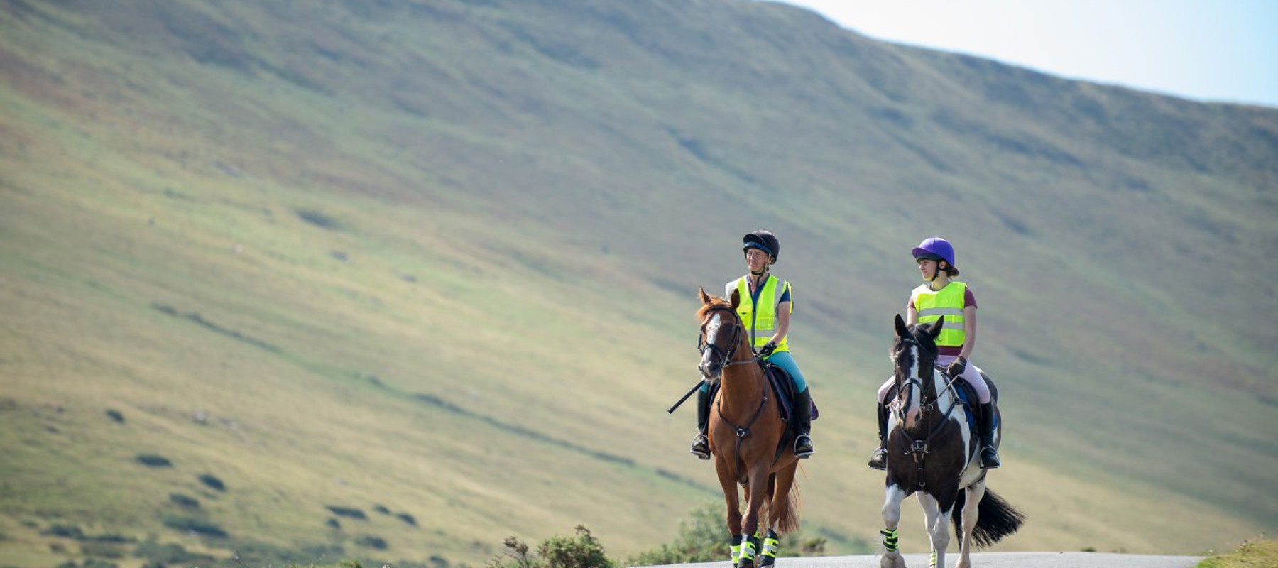 Two horses and riders on narrow road with upland hillside behind in gentle sunshine