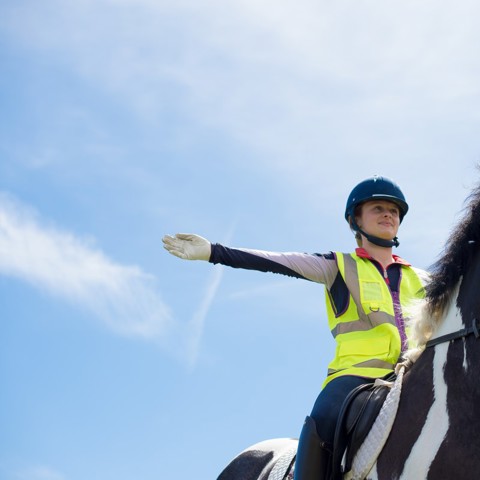 rider on a horse wearing hi vis 