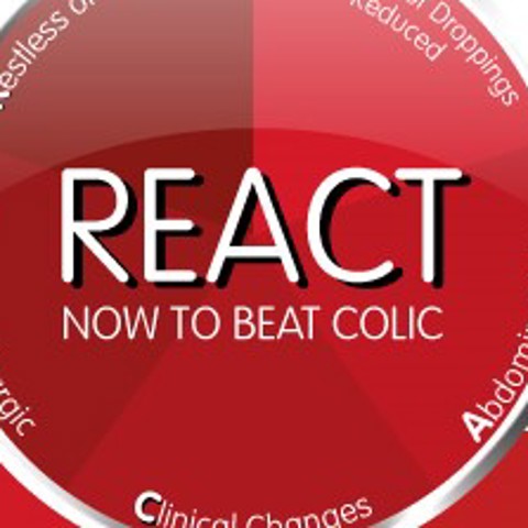 Colic Cover Banner Edit
