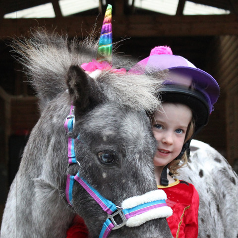 pony parties BHS