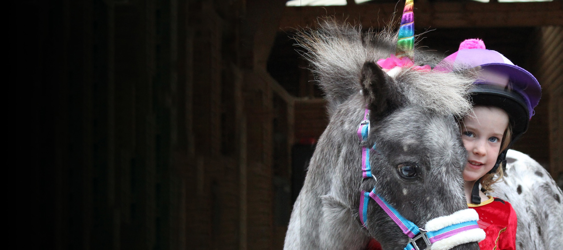 pony parties BHS