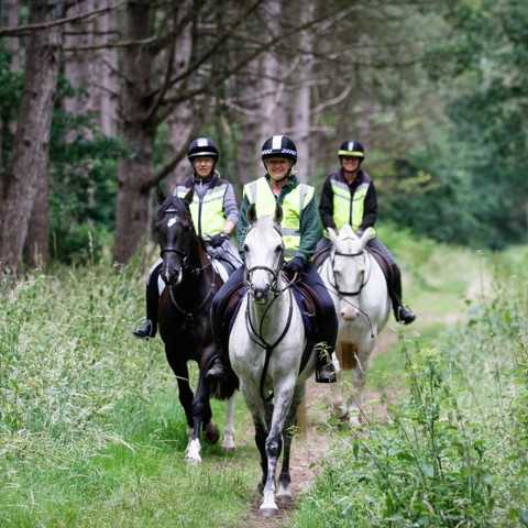 Hi Viz Group Riding Out Edit Out Police Headband Before Use