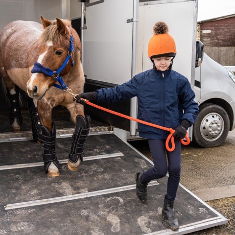 pony with kid in trailer