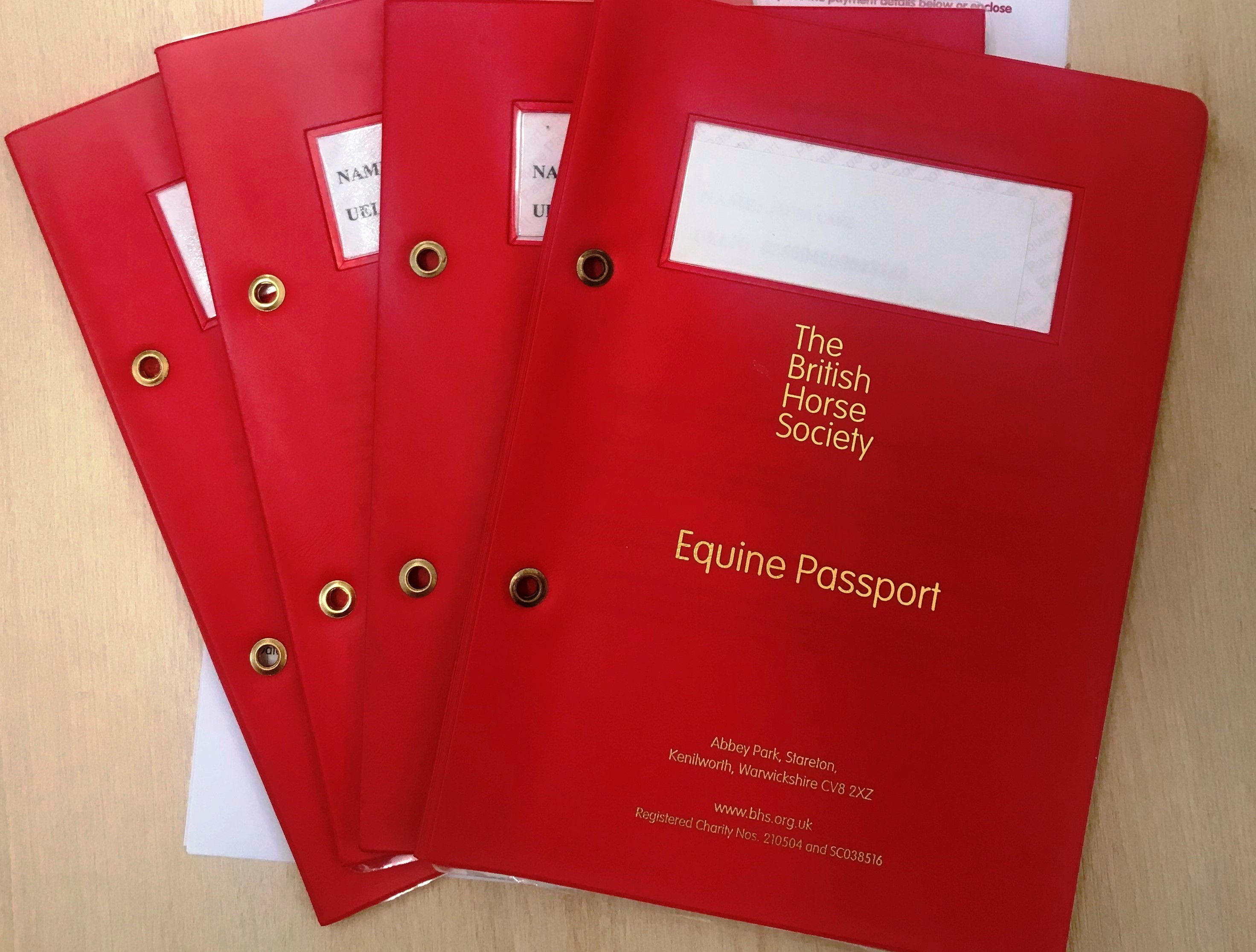 horse-passports-how-to-apply-the-british-horse-society