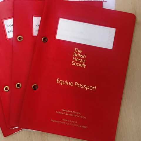 Horse Passports