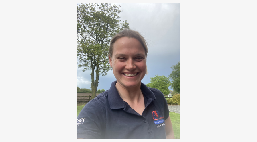 Img 3181 Border Grey