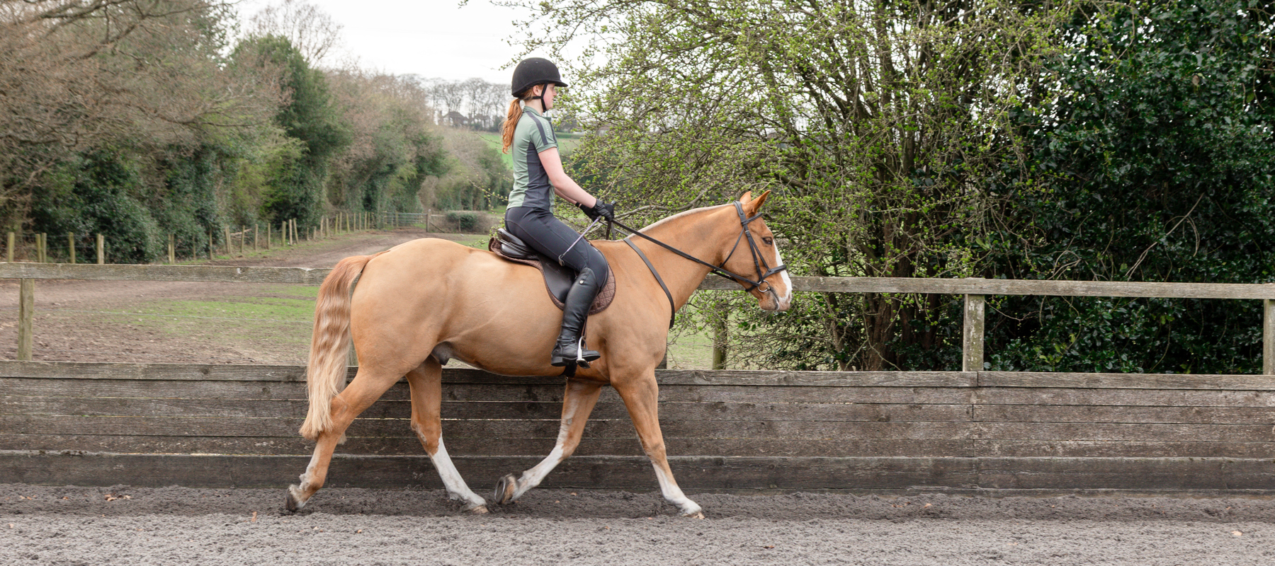 Horse And Rider Trotting In An Arena