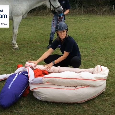 The Horses Digestive Tract Video