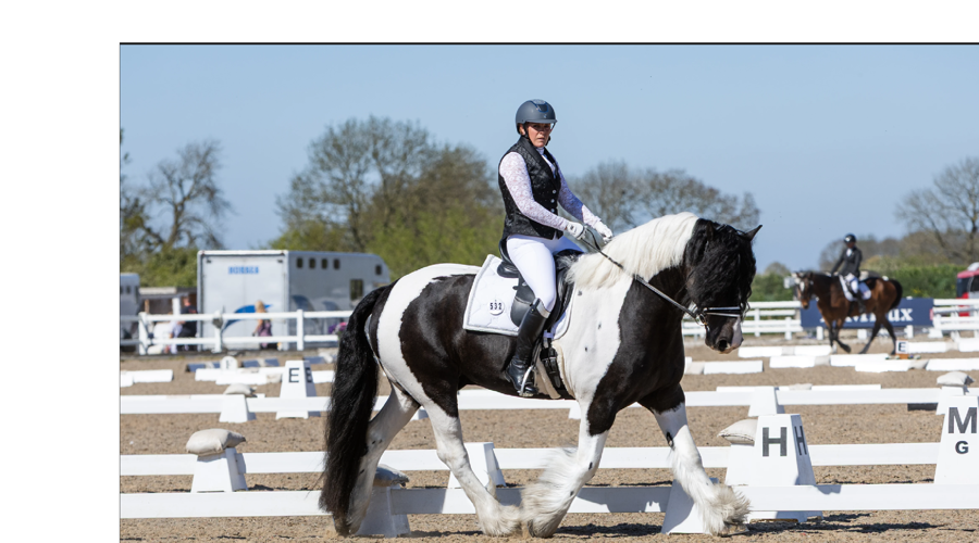 Dressage Champs 26 4