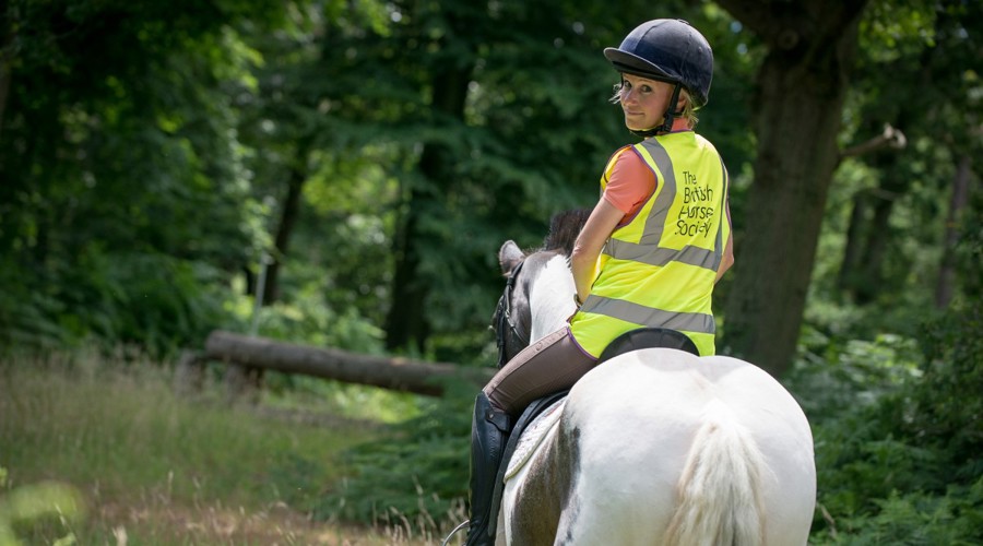 rider on horse wearing BHS hi vis