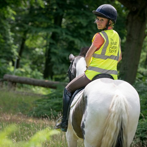 rider on horse wearing BHS hi vis