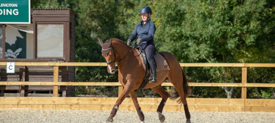 M Trot 160 BHS WELLINGTON OCT18 22275