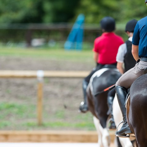 riding group lesson