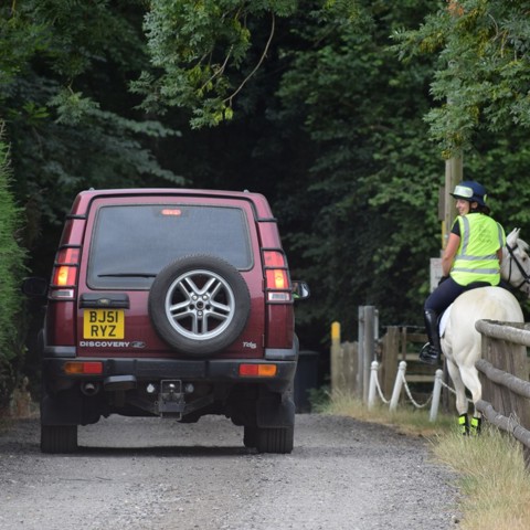 horse rider passing by car