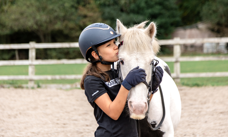 Second Chance rehoming horses | The British Horse Society