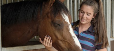woman caring for a horse